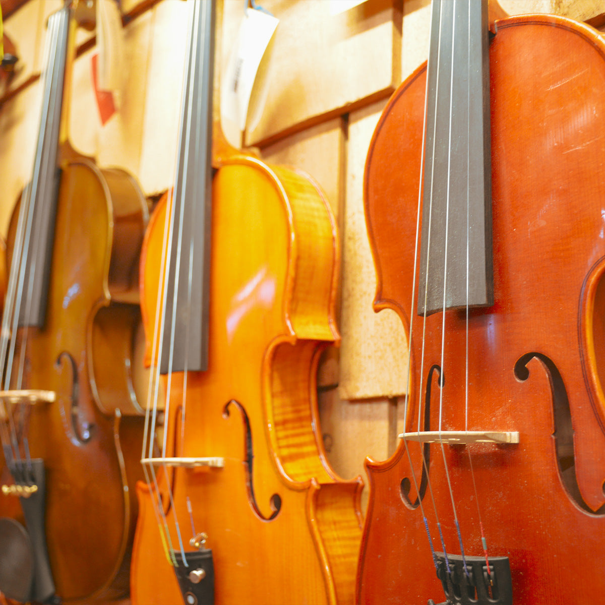 Violins, Violas, Cellos, Basses