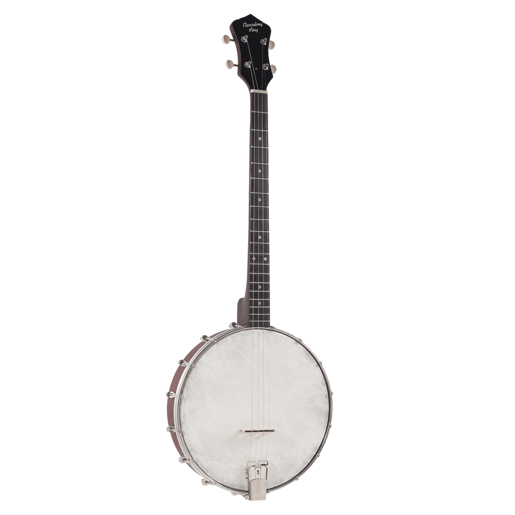 Recording King Dirty '30s RKT-05 4-String Tenor Open Back Banjo