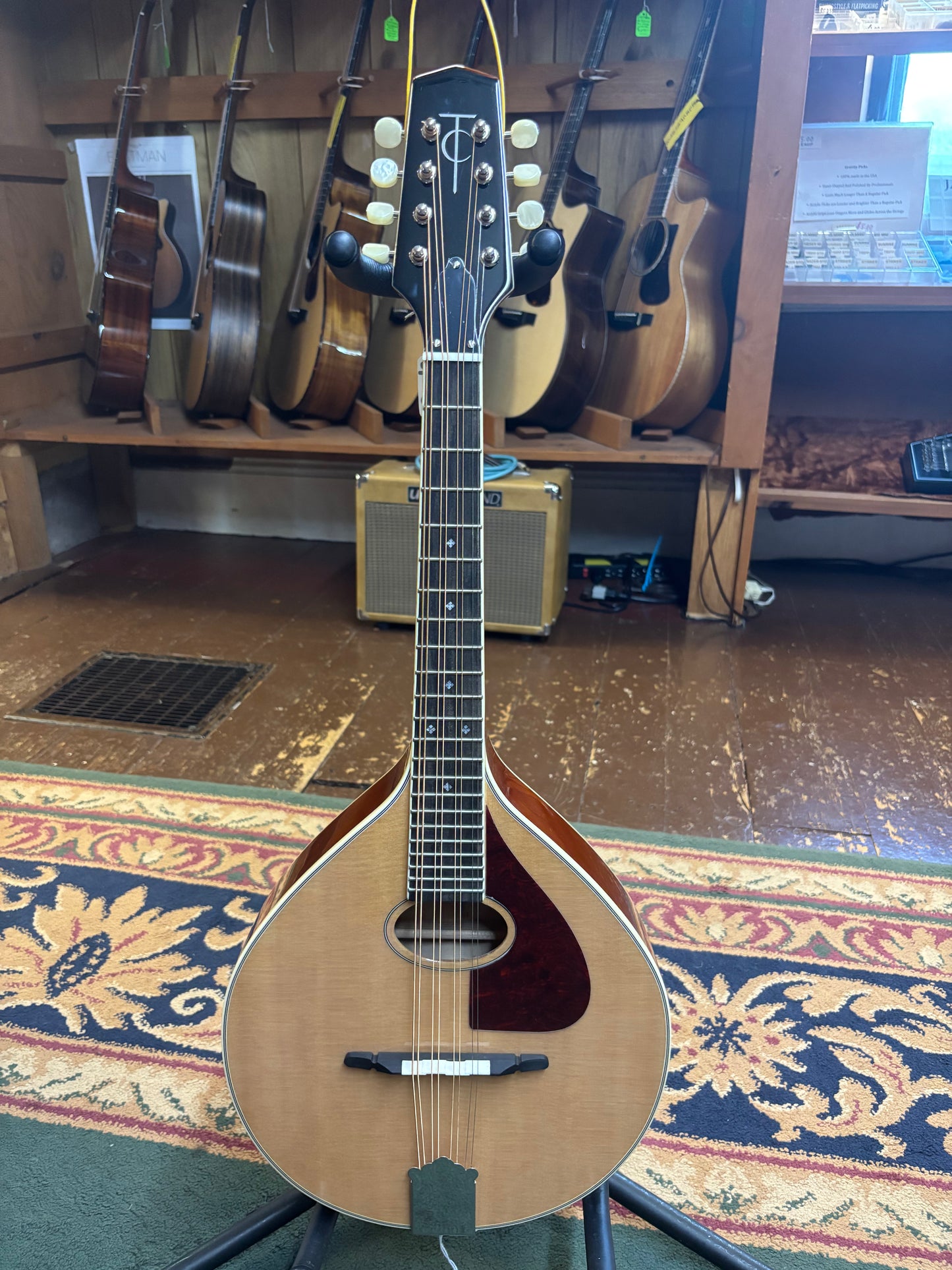 Trinity College TM-275 Standard Celtic Mandola