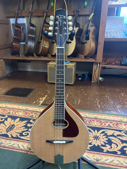 Trinity College TM-275 Standard Celtic Mandola