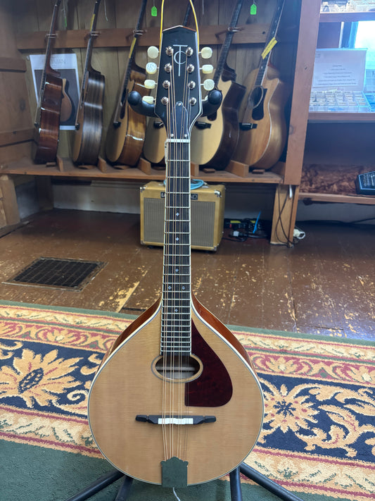 Trinity College TM-275 Standard Celtic Mandola