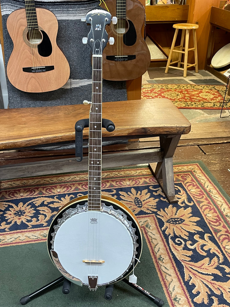 Washburn Americana B9 5-String Resonator Banjo w/Hard Case - USED