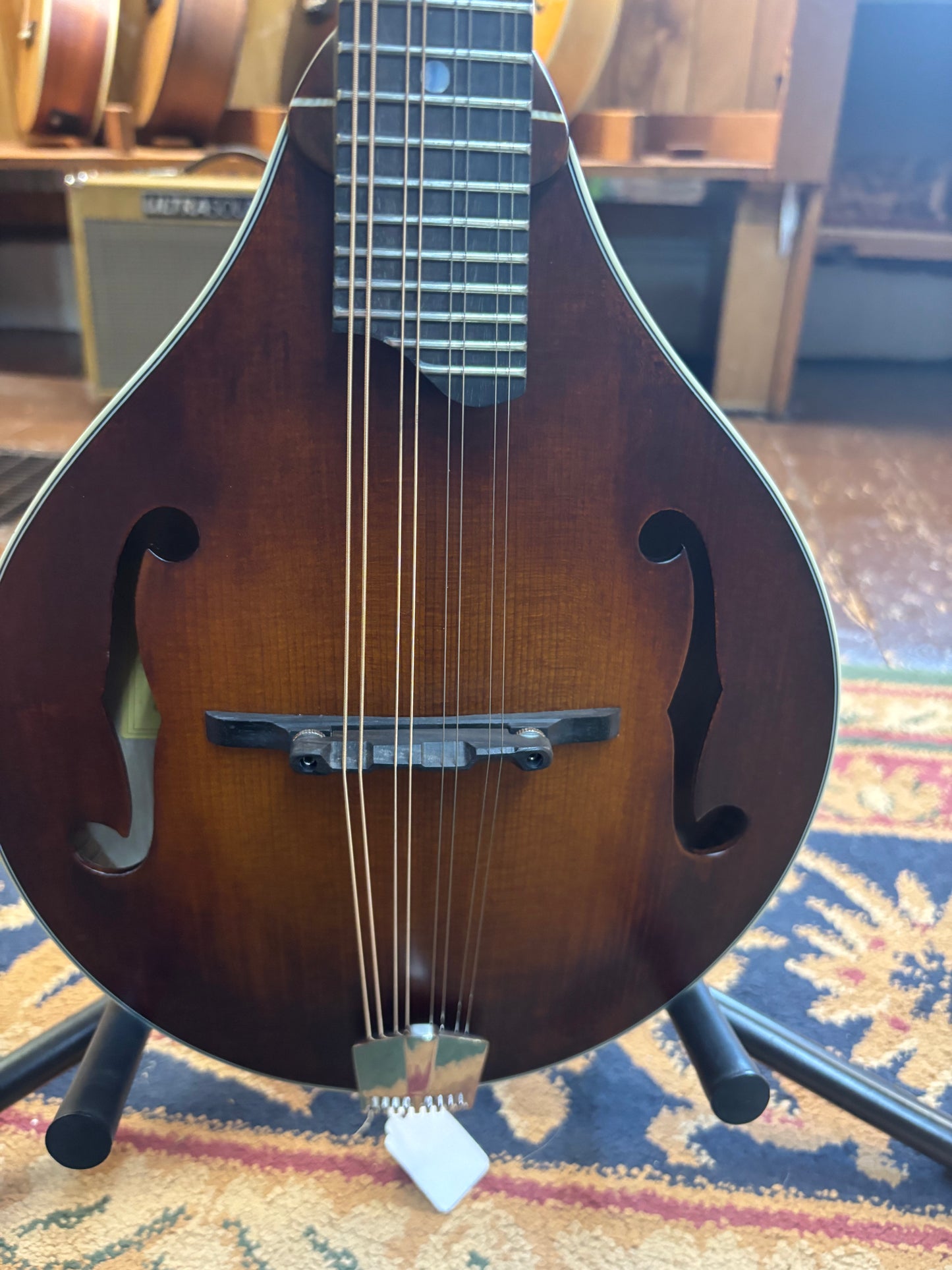 Eastman MD315-WN Wide Neck, Solid Adirondack Top F-Style Mandolin
