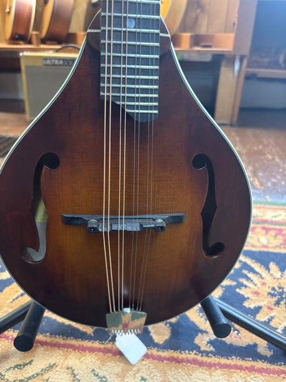 Eastman MD315-WN Wide Neck, Solid Adirondack Top F-Style Mandolin