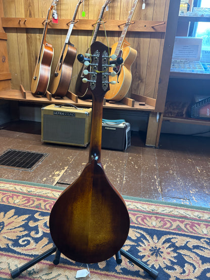 Eastman MD315-WN Wide Neck, Solid Adirondack Top F-Style Mandolin