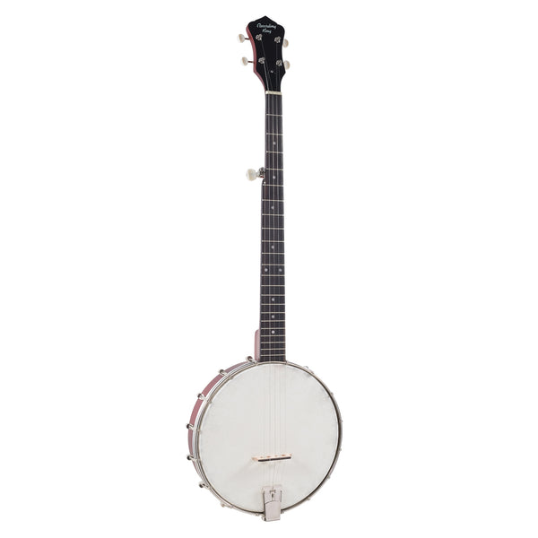 Recording King Dirty '30s RKOH-05 5-String Open Back Banjo